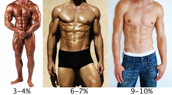 نسبة الدهون في الجسم للرجال