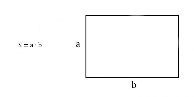 كيفية إيجاد مساحة المستطيل مع معرفة ضلعين متجاورين