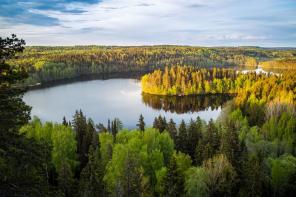 7 حقائق مثيرة للاهتمام حول فنلندا