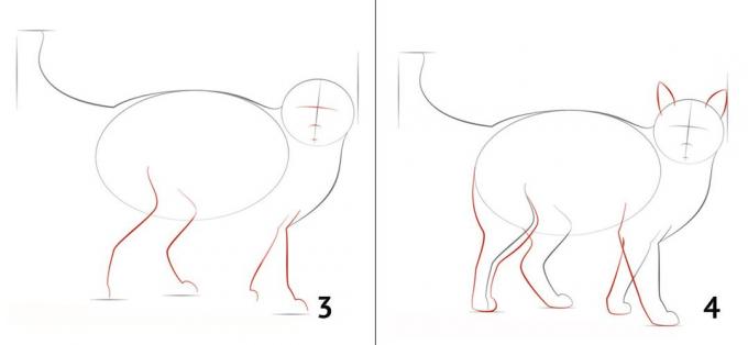 كيفية رسم القط