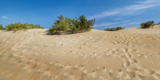 الجذب السياحي أنابا: الكثبان الرملية في Dzhemet