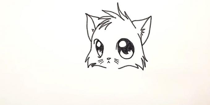 كيفية رسم أنيمي القط: رسم shorstku في الجزء السفلي من الرأس