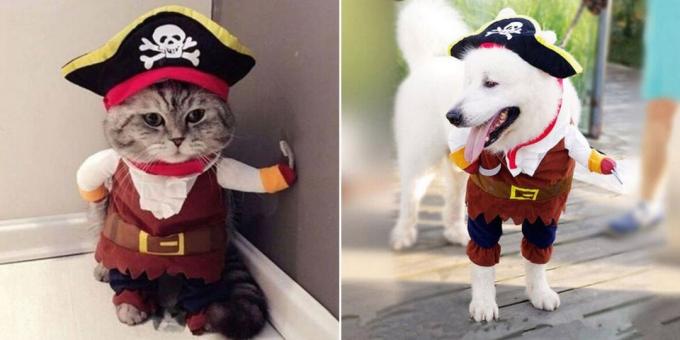 ازياء عيد الميلاد للكلاب والقطط: منفوش القراصنة