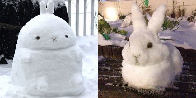 الثلوج شخصية الأرنب