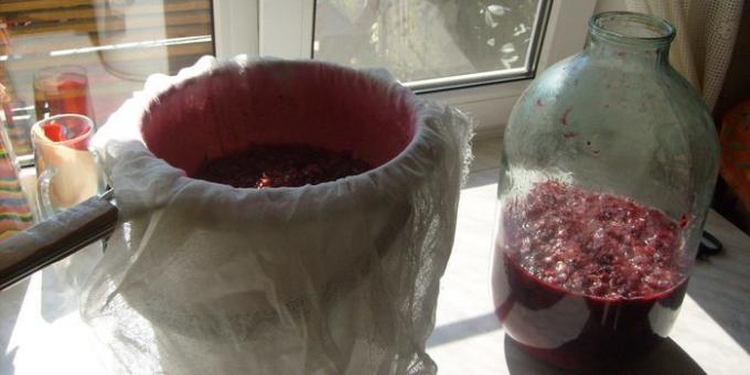 كيفية جعل النبيذ من الكشمش الأحمر في المنزل. جميع التوت يجب أن تبقى في مارل