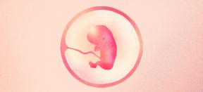 الأسبوع الثالث عشر من الحمل: ماذا يحدث للطفل والأم - Lifehacker