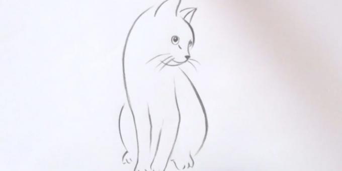 كيفية رسم جلسة القط في أسلوب واقعي