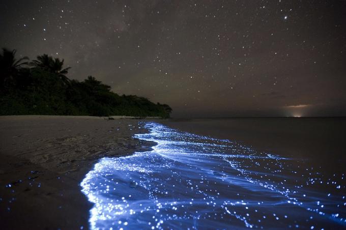 إضاءة الحيوية بيتش - Vaadhoo، جزر المالديف أفضل الشواطئ