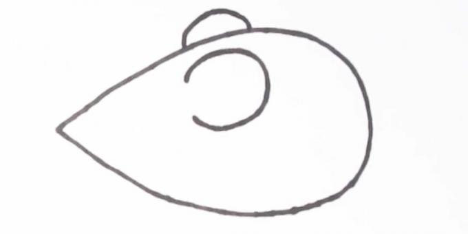 كيفية رسم الفأرة: ارسم الأذنين