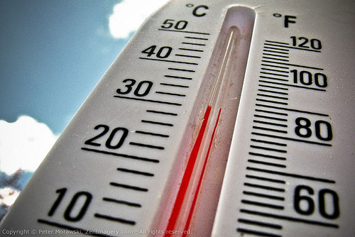 في فصل الصيف، في الحرارة، ومراقبة درجة الحرارة وحدة المعالجة المركزية