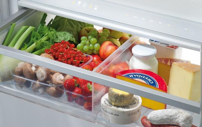 إجراء مراجعة من أجل الحفاظ على النظام في الثلاجة