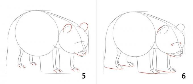 كيفية رسم الباندا