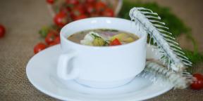 10 وصفات الحساء من رمح، الكارب، سمك الفرخ، سمك السلمون، وليس فقط