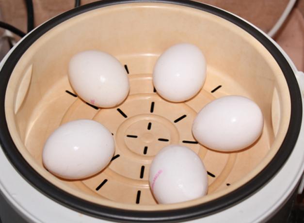 كيفية طبخ البيض في غلاية مزدوجة أو multivarka