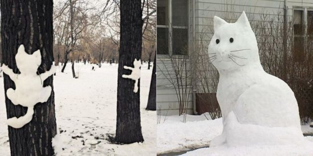 الرقم الثلج: القط