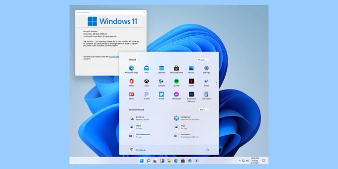 لقطات شاشة Windows 11