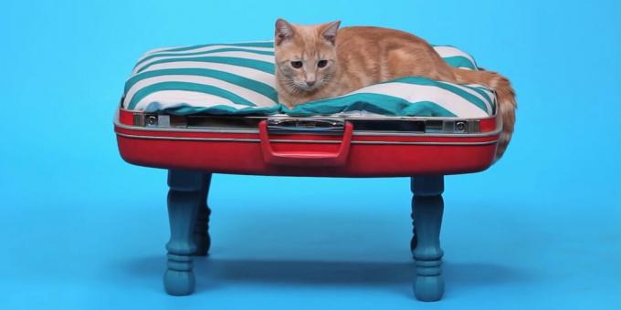 كيف تصنع سرير قط بيديك من حقيبة