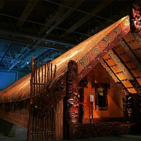 متحف نيوزيلندا (تي بابا Tongarewa)