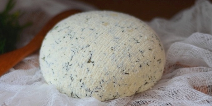 كيفية طبخ الجبن محلية الصنع: خيارات الجبن محلية الصنع