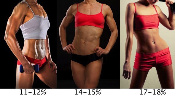 نسبة الدهون في الجسم للنساء