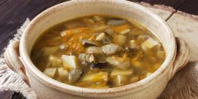 10 الحساء لذيذ من الطازجة والفطر بورسيني المجفف