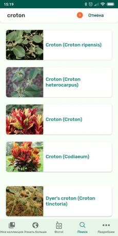 تحديد أنواع النباتات الداخلية باستخدام PlantSnap