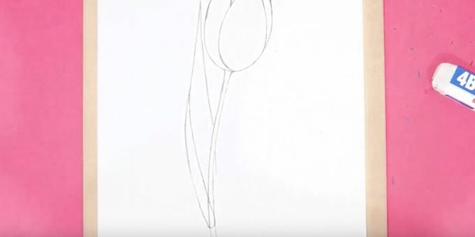 كيفية رسم خزامى: ارسم الساق والورقة اليسرى