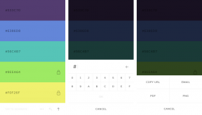 Coolors - أسهل طريقة لاختيار لوحة الألوان الكمال