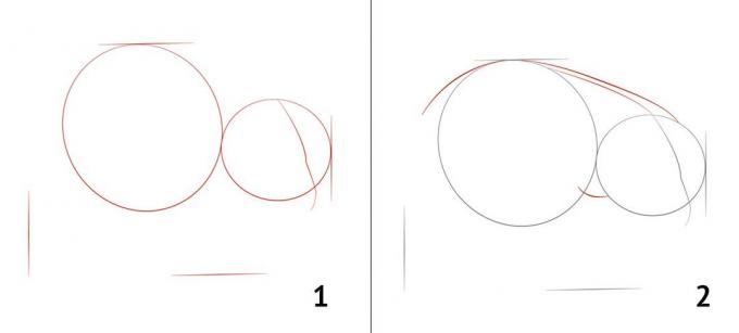 كيفية رسم دب