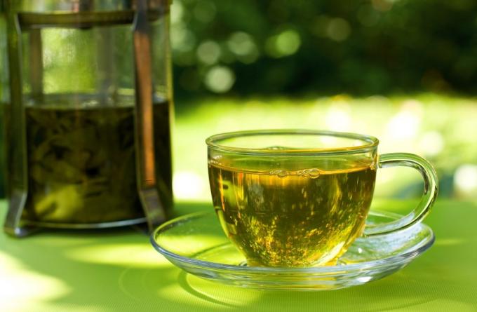 عادات من شأنها أن تساعد فقدان الوزن: شرب الشاي الأخضر