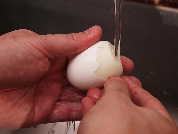 كيفية تنظيف بشكل صحيح البيض