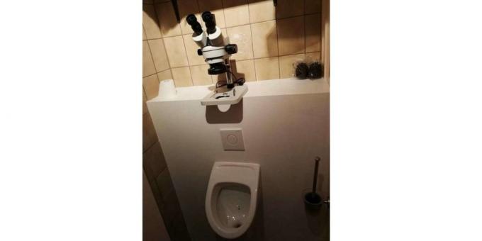 المجهر في المرحاض