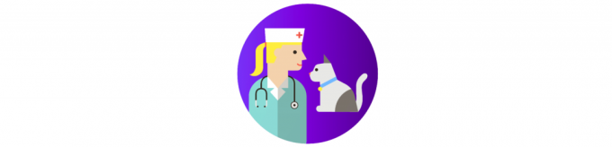 كيف لرعاية القط: زيارة إلى الطبيب البيطري