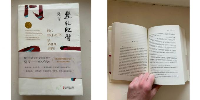 اكتشافات مثيرة للاهتمام في الشقق: كتاب باللغة الصينية