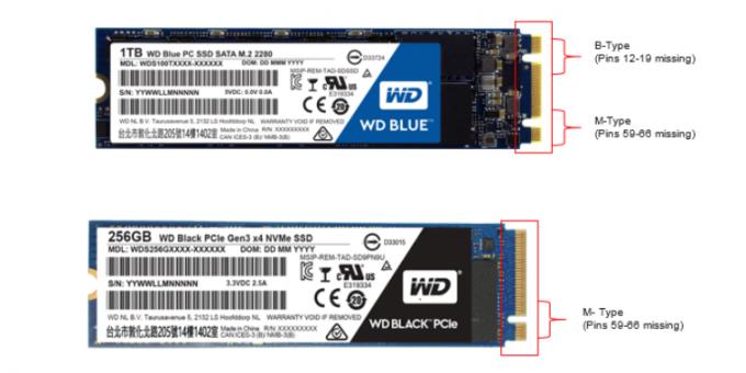 ما هو أفضل SSD: SSD M.2 مفتاح ج B + M (العلوي) وSSD M.2 مع M الرئيسي (القاع)