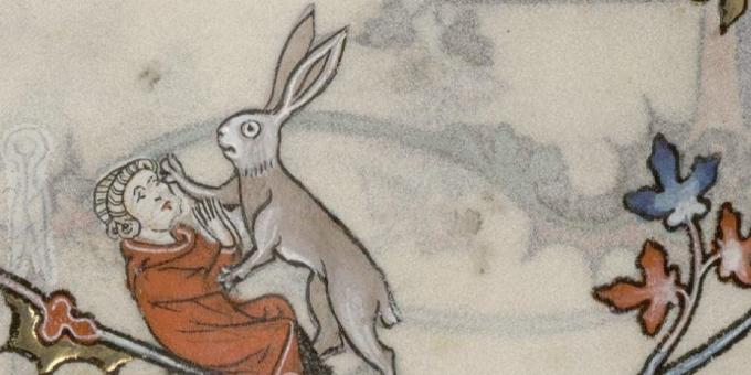 أطفال العصور الوسطى: أرنب يهاجم رجلاً ، كتاب الادعيه بقلم رينو دي بارا