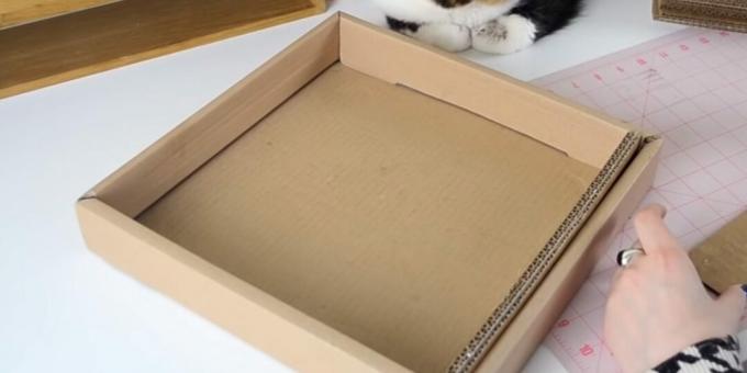 وظيفة خدش القط DIY: أدخل الشرائط اللاصقة في الصندوق