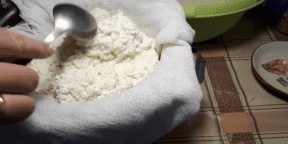 كيفية جعل الجبن محلية الصنع من الحليب أو اللبن. 6 طرق بسيطة