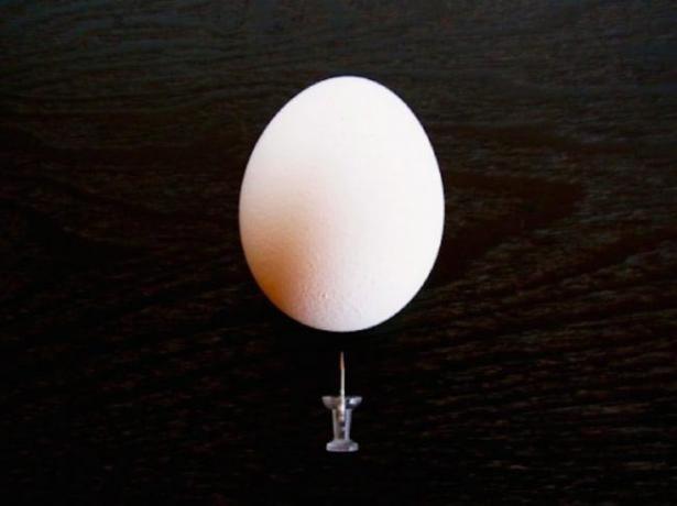 كيفية سلق بيضة، بحيث لا مشققة
