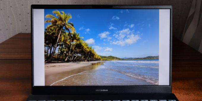 شاشة ASUS ZenBook 13 UX325