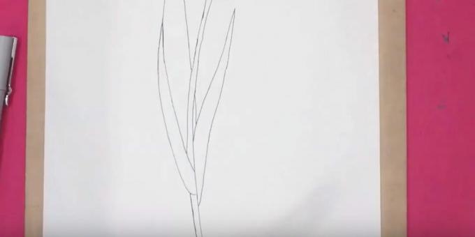 كيفية رسم الخزامى: ارسم الورقة اليمنى