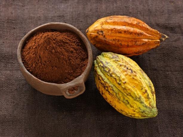 الشوكولاته الساخنة: مسحوق الكاكاو وحبوب الكاكاو 