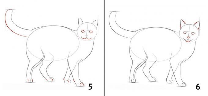 كيفية رسم القط
