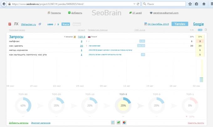 خدمة نظرة عامة SeoBrain، تقرير المشروع